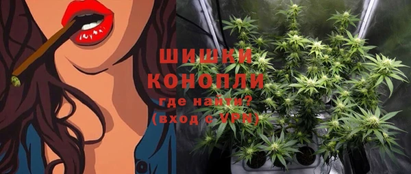 apvp Осинники