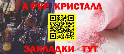 скорость Кингисепп