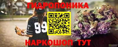 apvp Изобильный