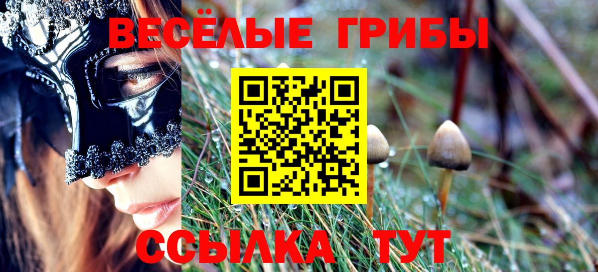 Псилоцибиновые грибы ЛСД  Чапаевск 