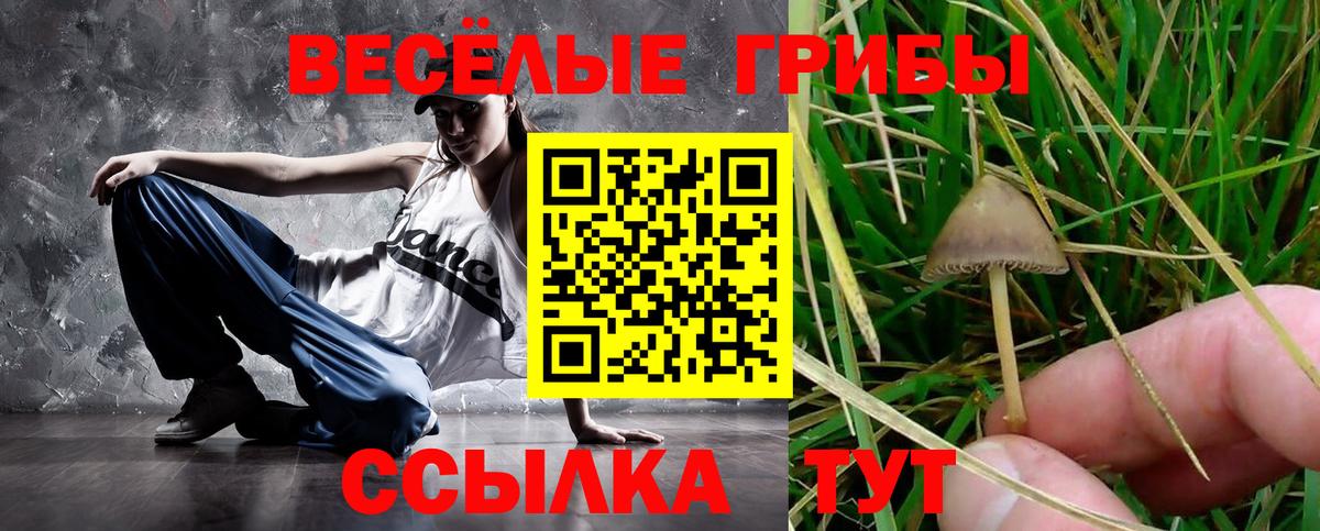 Чапаевск  Псилоцибиновые грибы мицелий  Вход с VPN 